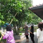 【タイ&ベトナム食の旅】タイ料理教室&ガーデンパーティー♪